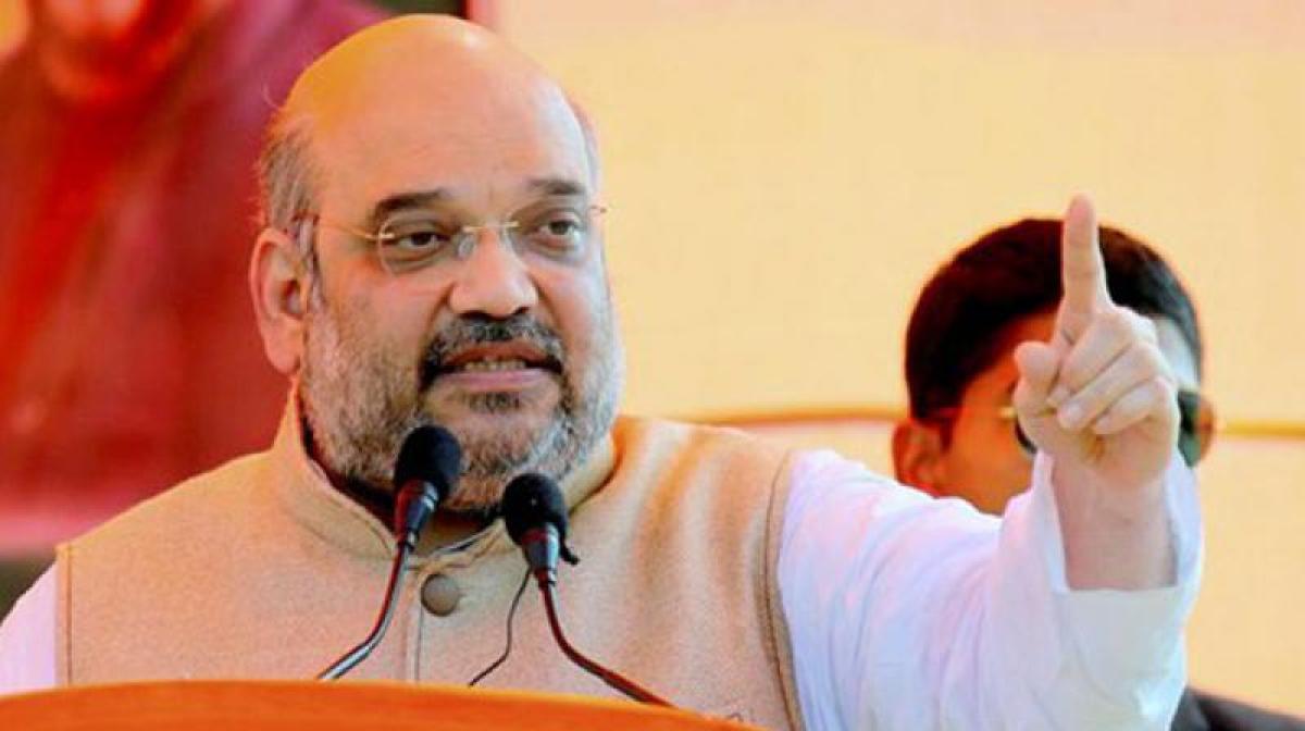 BJP not celebrating, only giving report of work to people: Amit Shah